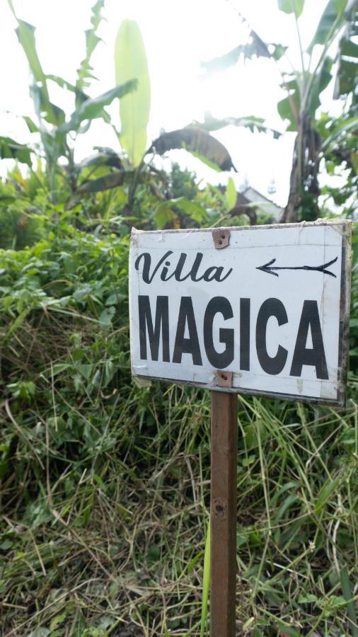 אובוד Villa Magica מראה חיצוני תמונה